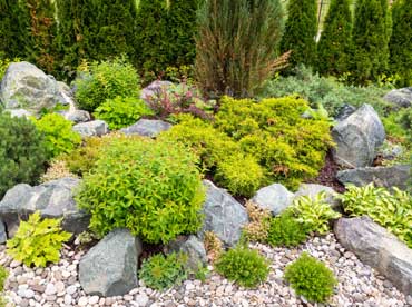 Landscaper in Utah